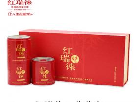 红茶红瑞徕节节高凤庆滇红茶