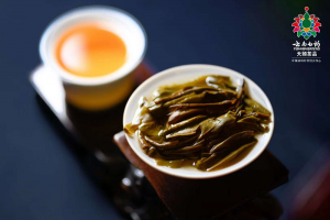 普洱生茶和熟茶散茶加工工艺的区别