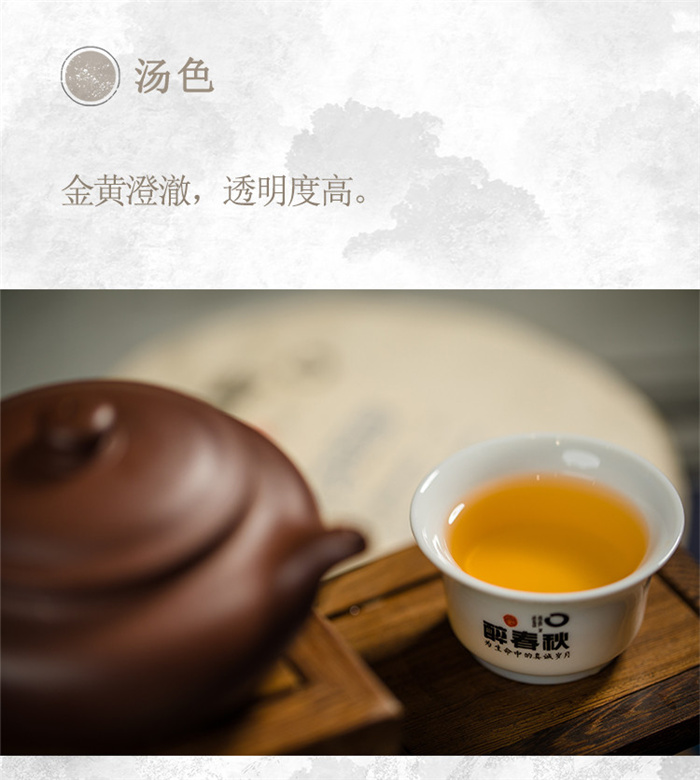 云南白药茶叶醉春秋普洱茶新时代2019
