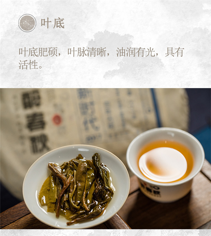 云南白药茶叶醉春秋普洱茶新时代2019