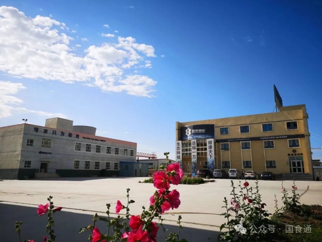 一文读懂：愿臻核心原料，好品质从源头开始