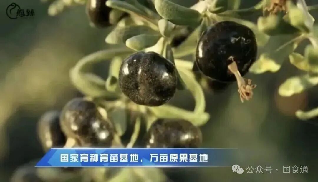 一文读懂：愿臻核心原料，好品质从源头开始